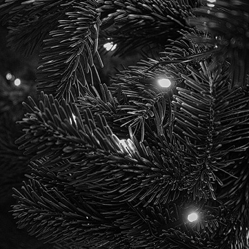 Navidad